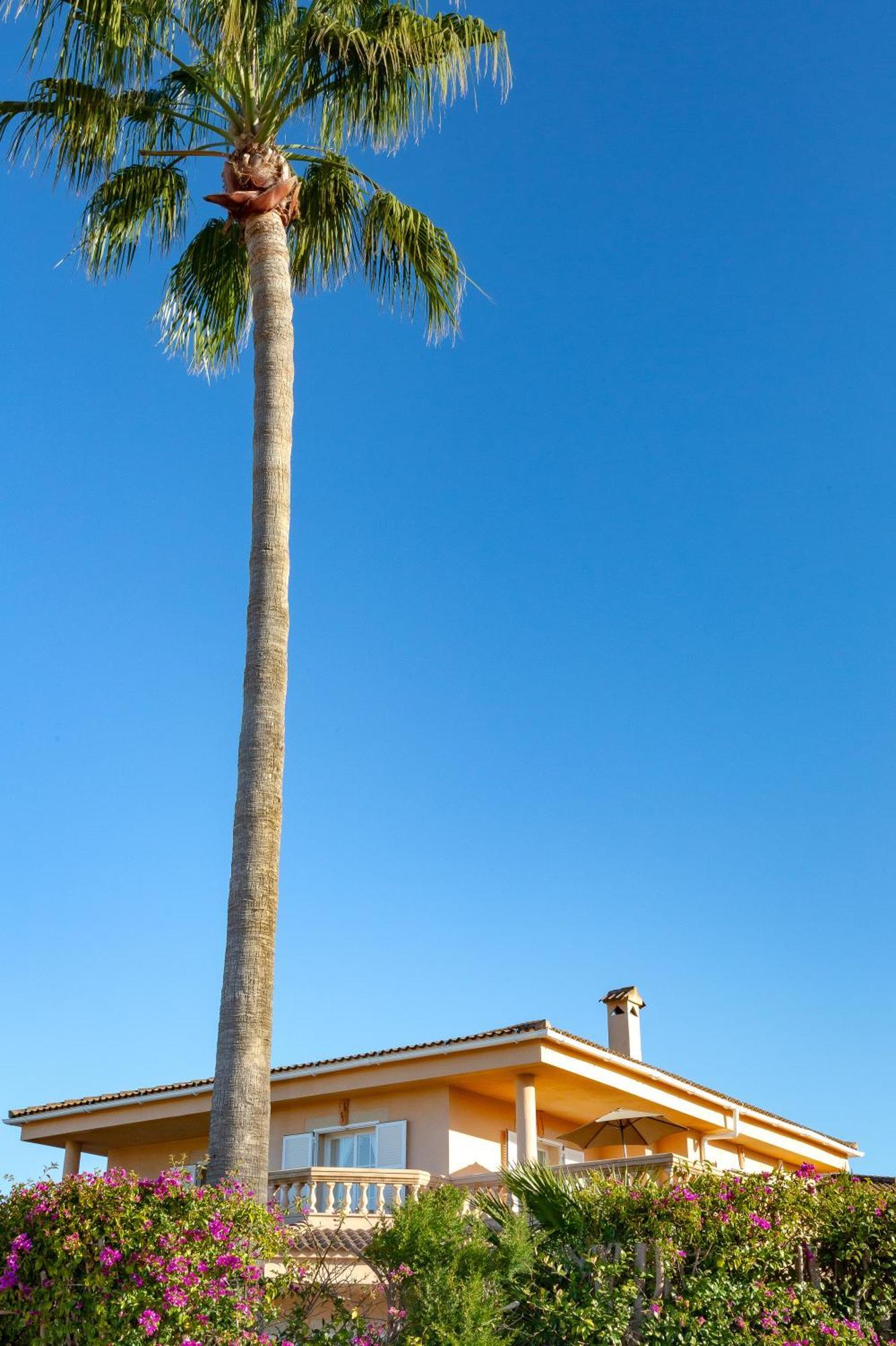 Villa Palmera Palma de Mallorca Exterior photo