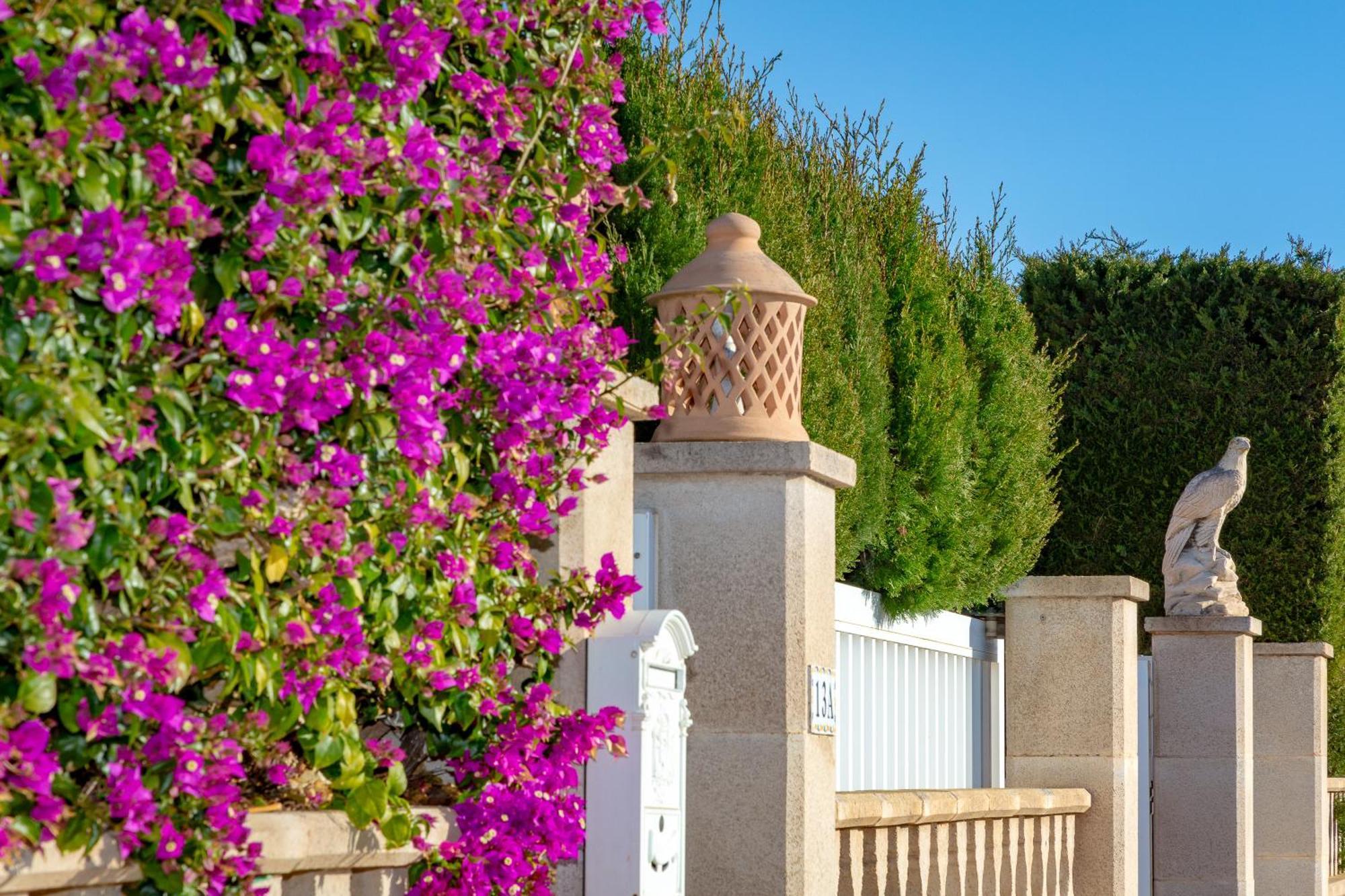 Villa Palmera Palma de Mallorca Exterior photo